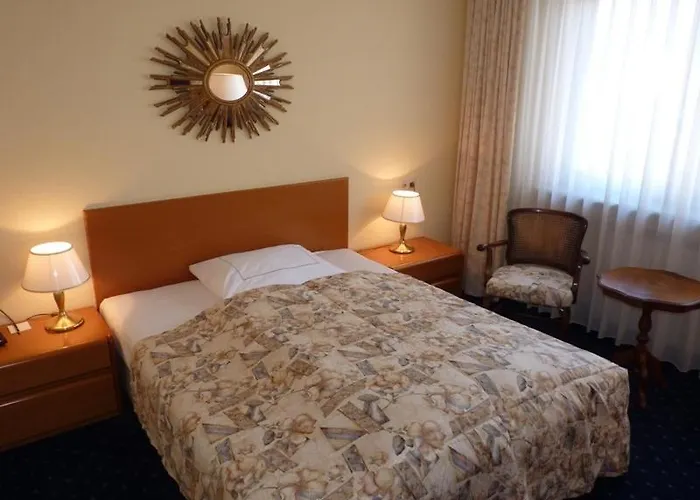 酒店 布鲁恩霍夫酒店 美茵河畔哈瑙